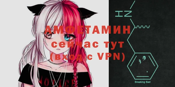 ГАЛЛЮЦИНОГЕННЫЕ ГРИБЫ Вяземский