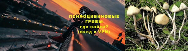 ГАЛЛЮЦИНОГЕННЫЕ ГРИБЫ Вязники