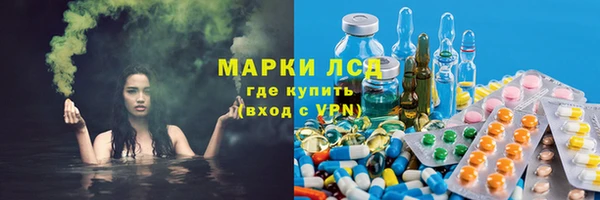 ГАЛЛЮЦИНОГЕННЫЕ ГРИБЫ Вязники