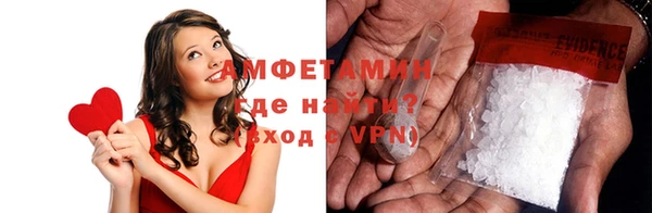 ГАЛЛЮЦИНОГЕННЫЕ ГРИБЫ Вяземский