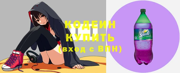 ГАЛЛЮЦИНОГЕННЫЕ ГРИБЫ Вяземский