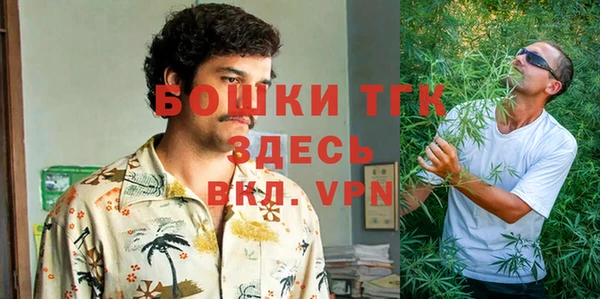 ГАЛЛЮЦИНОГЕННЫЕ ГРИБЫ Вяземский