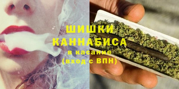 ГАЛЛЮЦИНОГЕННЫЕ ГРИБЫ Вяземский