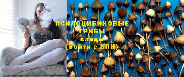 ГАЛЛЮЦИНОГЕННЫЕ ГРИБЫ Вязники