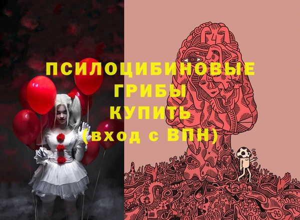 ГАЛЛЮЦИНОГЕННЫЕ ГРИБЫ Вяземский