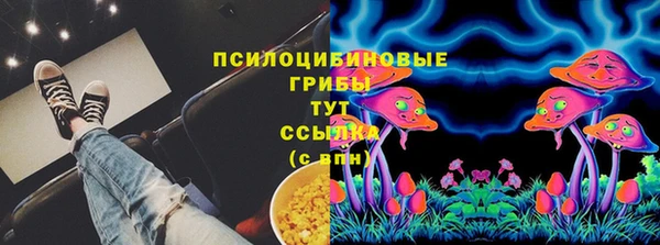 ГАЛЛЮЦИНОГЕННЫЕ ГРИБЫ Вяземский