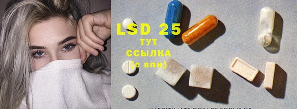 ГАЛЛЮЦИНОГЕННЫЕ ГРИБЫ Вязники