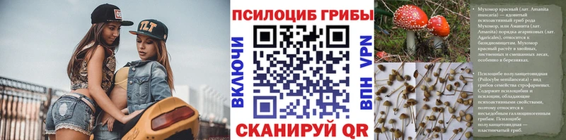 кракен вход  где можно купить   Очёр  Псилоцибиновые грибы мухоморы 